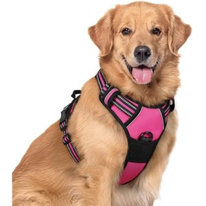 rabbitgoo Dog Harness No Pull with 2 Leash Clips, Adjustable Soft Padded, Reflective Oxford No Choke Pet Large Dogs, Hot Pink, XL - 1 of 1