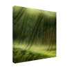 Trademark Fine Art Piotr Krol green fields Canvas Wall Art - 4 of 4