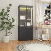 Famapy Modern Display Cabinet & Bookcase with RGB Color-Changing LED Lights,Tempered Glass Doors,Collectibles in Living Room/Study - 4 of 4
