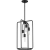 Progress Lighting, Bonn Collection, 4-Light Pendant, Matte Black, Open-Cage, Steel, Industrial Vintage Vibes - 3 of 4