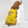 Nba Detroit Pistons 26 Pets Basketball Mesh Jersey : Target