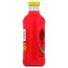 Calypso Triple Melon Lemonade - 20 fl oz Glass Bottle - 3 of 3