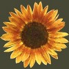 Men's Design By Humans Sunflower By Maryedenoa T-Shirt - 2 of 3