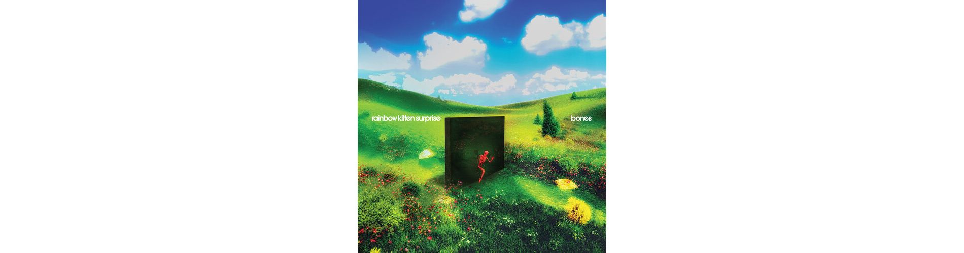 Rainbow Kitten Surprise - bones     (Black Vinyl)