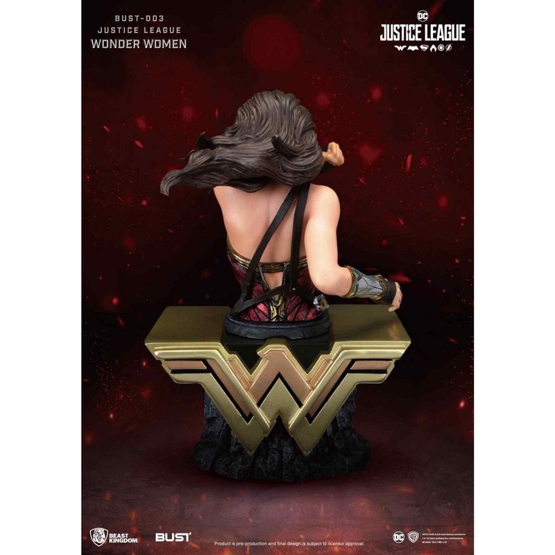 Warner Bros Justice League Series-Wonder Woman (Bust), 5 of 8