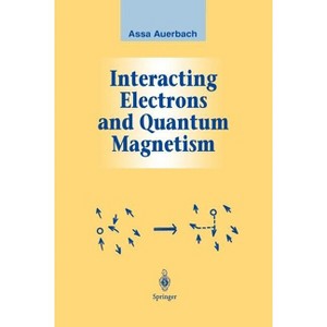 Interacting Electrons and Quantum Magnetism - (Graduate Texts in Contemporary Physics) by  Assa Auerbach (Paperback) - 1 of 1