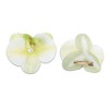 Unique Bargains Women's Phalaenopsis Faux Pearl Duckbill Clip 2 Pcs - 3 of 4