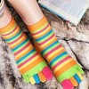 Rainbow Striped Pattern Toe Socks from the Sock Panda (Women's Sizes, Adult Medium) - 2 of 3