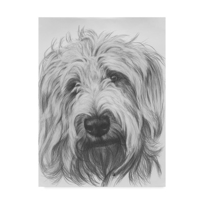 18" x 24" Labradoodle by Barbara Keith - Trademark Fine Art