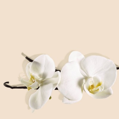 Buy philosophy Fresh Cream Shampoo Shower Gel & Bubble Bath 16 fl oz