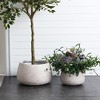 LuxenHome 17" Dia Round Concrete Planter Indoor Outdoor Large Plant Pot Handmade Rustic Distressed Ribbed Flower Pot for Home Garden Patio Off-White - 4 of 4