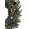 Perfect Holiday 24" Pre-lit Carolina Spruce Wreath with Pine Cones & Red Berry Clusters - 3 of 3