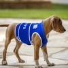 NCAA Kentucky Wildcats Soothing Solution Pets Vest - 3 of 4