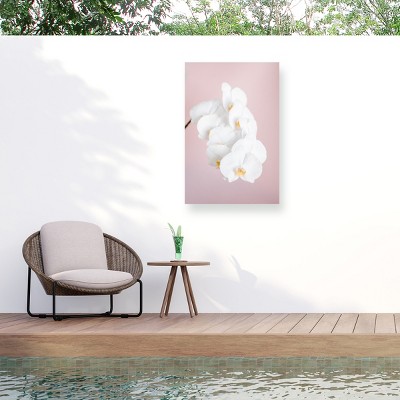 Trademark Fine Art - Pictufy Studio Orchid 2 Matted Framed Art