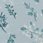 snowy botanical