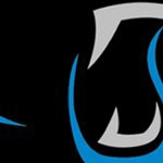 carolina panthers