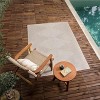 Hauteloom Stephan Beige Outdoor Rug - 4 of 4
