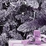 white purple