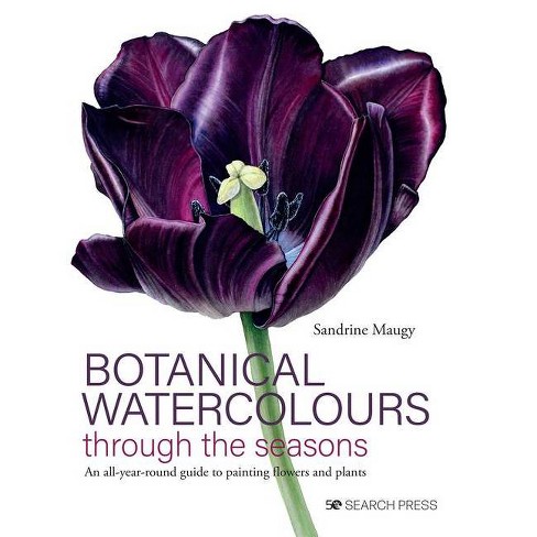 David Bellamys Complete Guide To Watercolor : Book By David Bellamy  Paperback