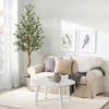 Artificial Olive Tree 6/5ft, Realistic Faux Olive Tree with Fruits for Indoor Decor - 3 of 4
