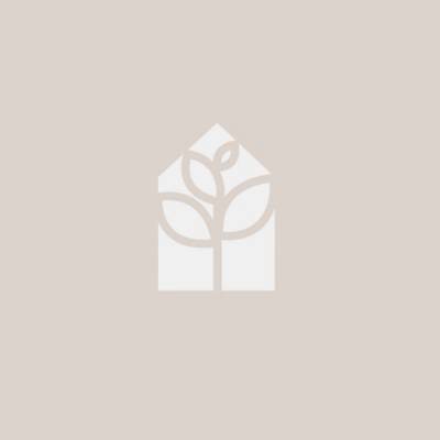 lindencreek1 avatar image
