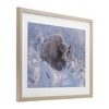 Stupell Industries Winter Bison In Deep Framed Print Under Glass Art - 2 of 4