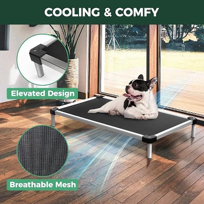 Proof Elevated Dog Bed