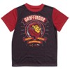 Harry Potter Gryffindor Hufflepuff Ravenclaw Slytherin Pajama Shirt and Shorts Sleep Set Little Kid to Big Kid - 2 of 4