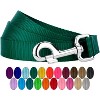 Country Brook Petz - 1 Inch Nylon Dog Leash - 2 of 4