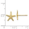 Black Bow Jewelry 11mm Textured Starfish Post Earrings in 14k Yellow Gold - 4 of 4