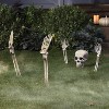 5pc Skeleton Groundbreaker Set Halloween Decorative Prop - Hyde and EEK! Boutique™: Indoor/Outdoor Use - 2 of 3