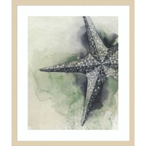 Amanti Art Found Starfish II by Grace Popp Wood Framed Wall Art Print - 1 of 4