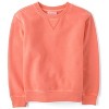 The Children's Place Boys Active Long Sleeve Garment Dyed Premium Fleece Sweatshirt - 2 of 4
