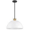 Crystorama Lighting Gigi 1 - Light Pendant in  Black/Aged Brass - 2 of 4