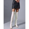 Allegra K Women's Halloween Glitter Round Toe Chunky Heel Over the Knee High Boots - 2 of 4