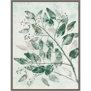 Amanti Art Eucalyptus 1 Green by Pernille Folcarelli Canvas Wall Art Print Framed 18 x 24-in. - 1 of 4