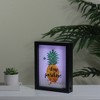Northlight 9” LED Lighted 'Stay Positive' Pineapple Framed Light Box - 4 of 4