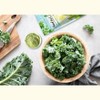 Organic Kale Powder - Non-GMO, Made from Raw Dried Whole Leaves, Vegan, Bulk - 4 of 4