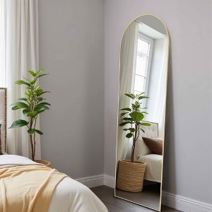 MAYEERTY Full Length Mirror - Arched Floor Mirror for Hanging or Leaning - 1 of 4