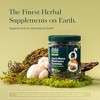 Gaia Herbs Lion's Mane Mushroom - Natural Brain Support Supplement - Organic - Free from Gluten, Soy & Dairy - 60 Vegan Gummies (30 Servings) - 3 of 4