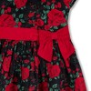 Hope & Henry Girls' Short Sleeve Ruffle Collar Party Dress with Bow, Infant - 2 of 4