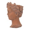 Chery Life 7" x 11" Visage Head Bust Planter, Brown - 3 of 4