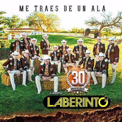  Grupo Laberinto - Me Traes De Un Ala (CD) 