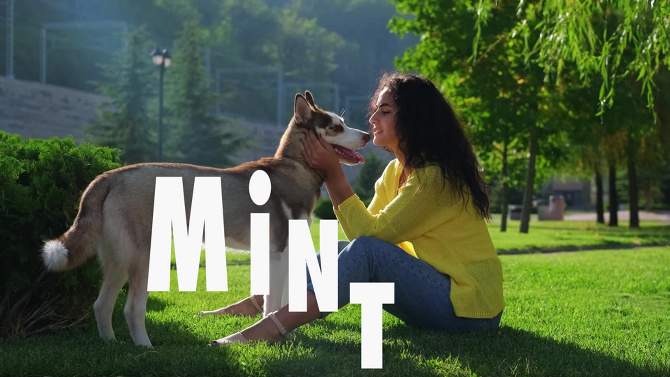 VetIQ Minties - Dental Peppermint Flavor Dog Treat - Tiny/Small, 2 of 7, play video