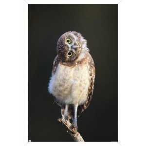 Trends International Curious Burrowing Owlet Framed Wall Poster Prints - 1 of 4