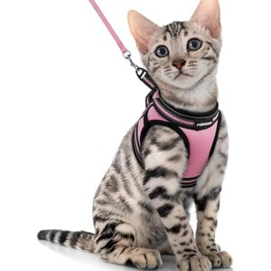 rabbitgoo Cat Harness and Leash Set for Walking Escape Proof, Adjustable Soft Kittens Vest with Reflective Strip for  Outdoor Vest, Pink, XL - 1 of 1