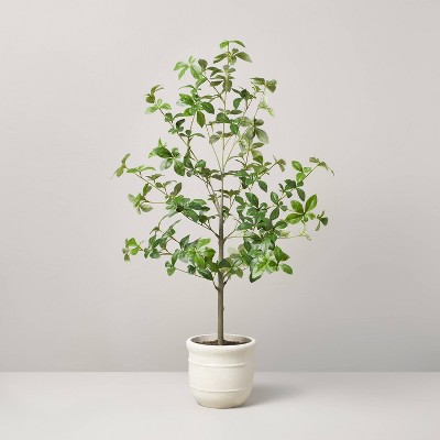 Image of 33" Faux Gypsophila Leaf Plant - Hearth & Hand™ with Magnolia