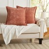 Market & Place 2 Pack Chenille Decorative Pillow Covers 20" x 20" - 4 of 4
