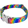Country Brook Petz Premium Dog Collar - Groovy Collection - 2 of 4