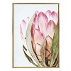 Kate and Laurel Sylvie Pink Protea Flower Framed Canvas by Amy Peterson - 2 of 4